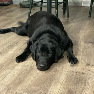 Meet your Posher, Joshua